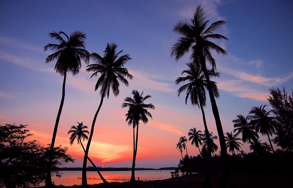 Photo d'un paysage de palmier et de coucher de soleil violet et orange